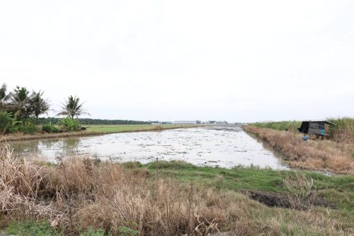 Land for Sale Chachoengsao