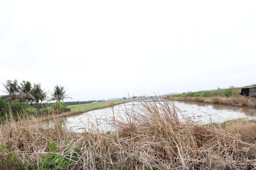 Land for Sale Chachoengsao