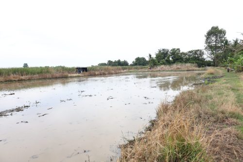 Land for Sale Chachoengsao