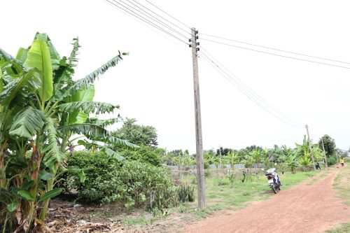 Fish ponds for rent and sale in Chachoengsao Province