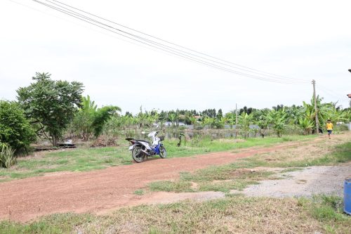 Fish ponds for rent and sale in Chachoengsao Province