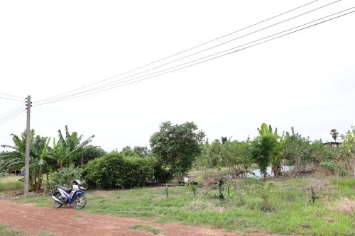 Fish ponds for rent and sale in Chachoengsao Province