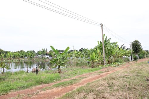 Fish ponds for rent and sale in Chachoengsao Province