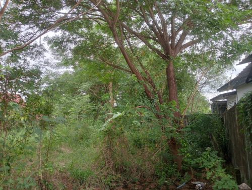 Land for rent in Nong Khai
